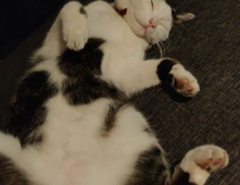 is mopfell78 the most demanding game for pc