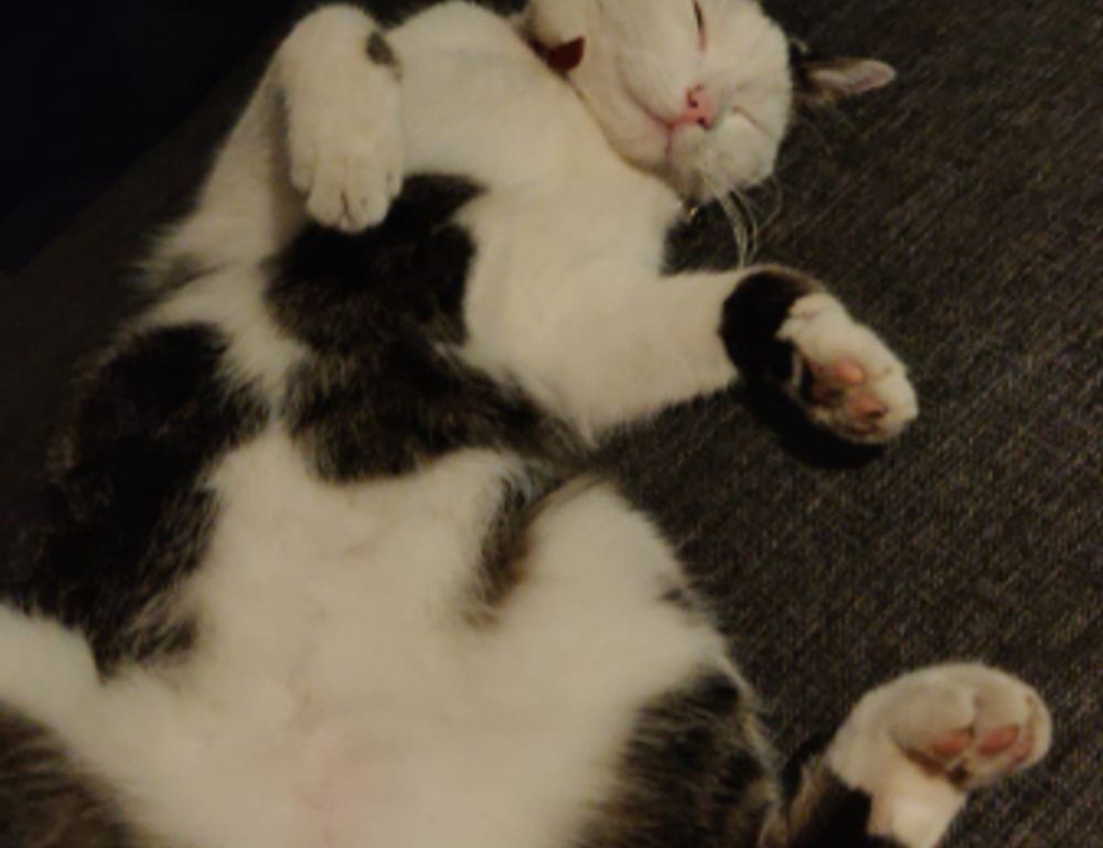 is mopfell78 the most demanding game for pc