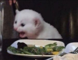 testing stonecap3.0.34 software