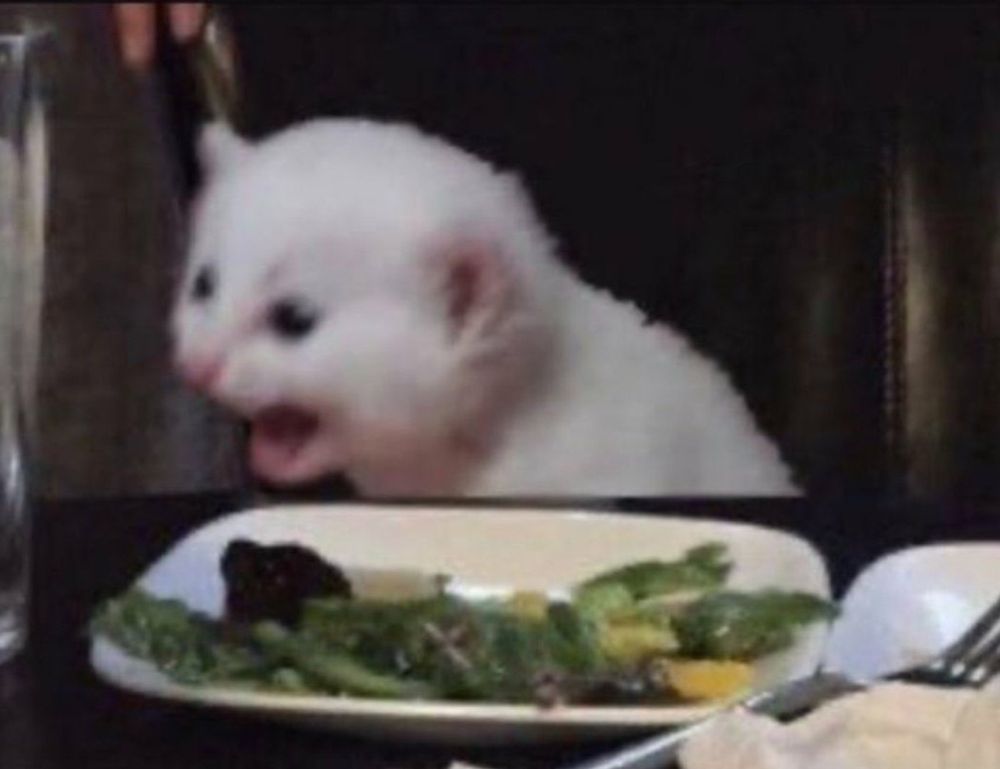 testing stonecap3.0.34 software