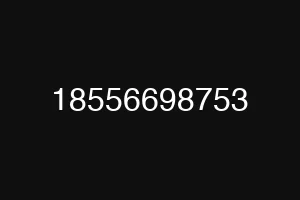 18556698753