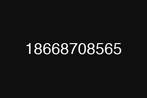 18668708565
