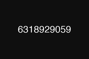 6318929059