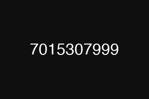 7015307999