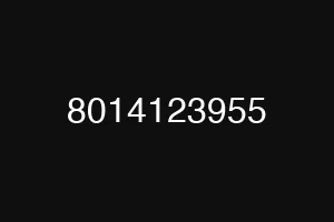 8014123955