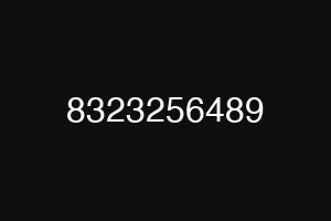 8323256489