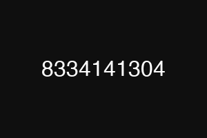 8334141304