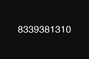 8339381310
