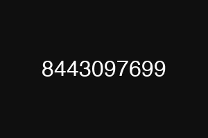 8443097699