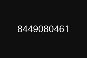 8449080461