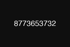 8773653732