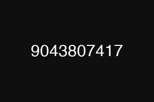 9043807417