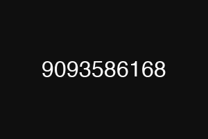 9093586168