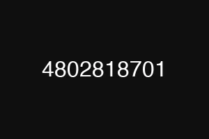 4802818701