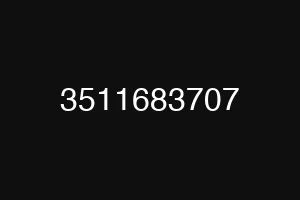 3511683707