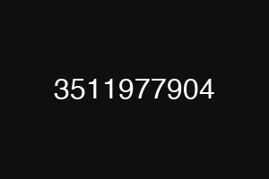 3511977904
