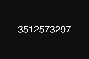 3512573297