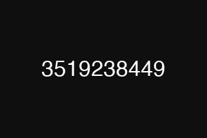 3519238449