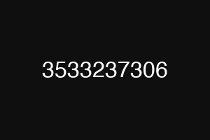 3533237306