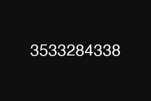 3533284338