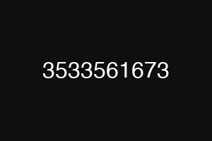 3533561673