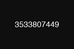 3533807449