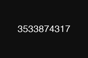 3533874317