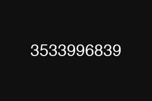 3533996839