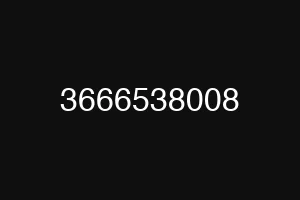 3666538008