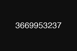 3669953237