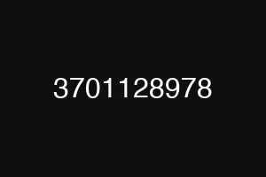 3701128978