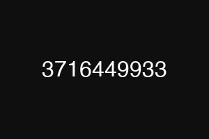 3716449933