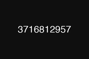 3716812957