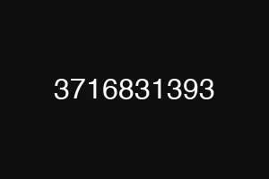 3716831393