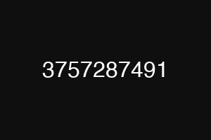 3757287491