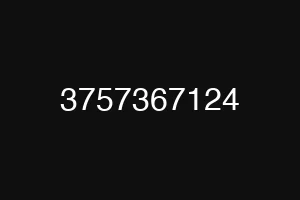 3757367124
