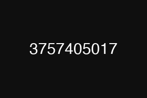 3757405017