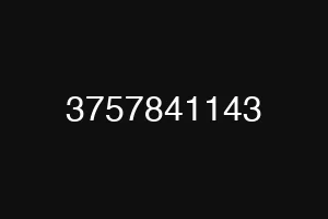 3757841143