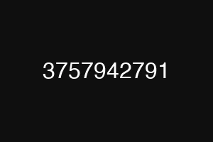 3757942791