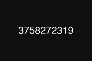 3758272319