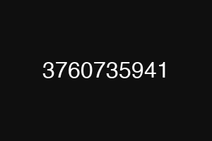 3760735941
