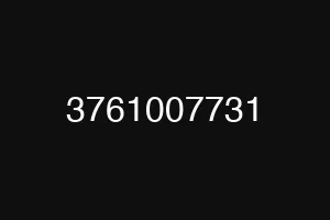 3761007731