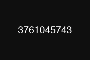 3761045743