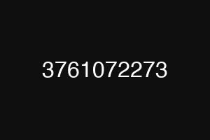 3761072273