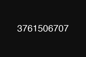 3761506707