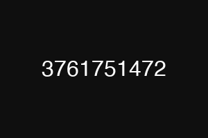 3761751472