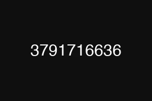 3791716636