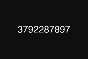 3792287897