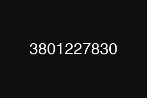3801227830