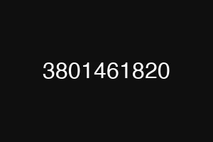 3801461820